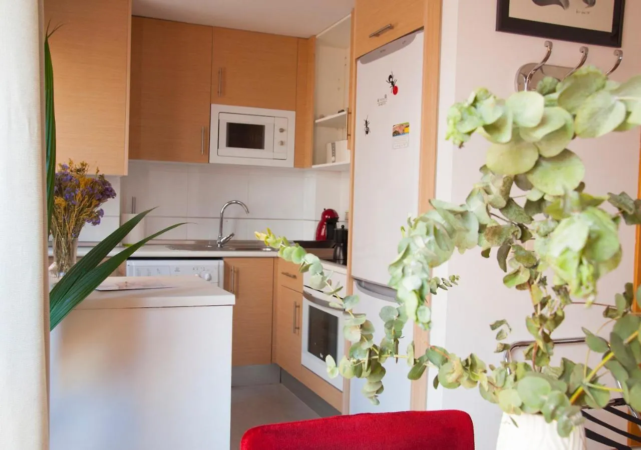 Apartament Malagaole Centro 0*, Malaga